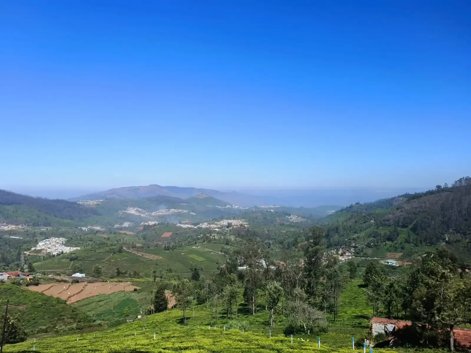 Ooty