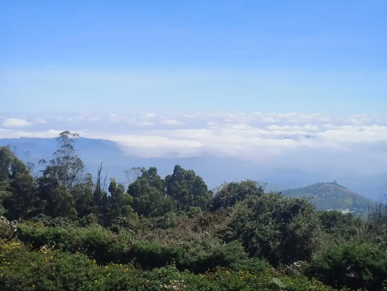 Ooty